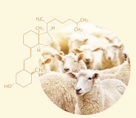 Vitamin D3, photo 4