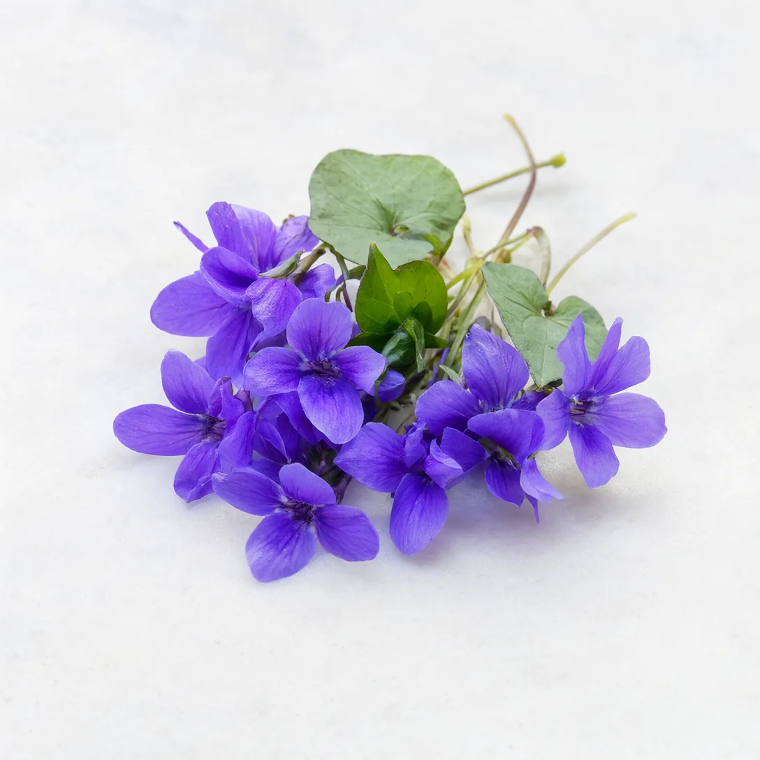 Patches de hidrogel com ingredientes do mar de Jeju, foto 3